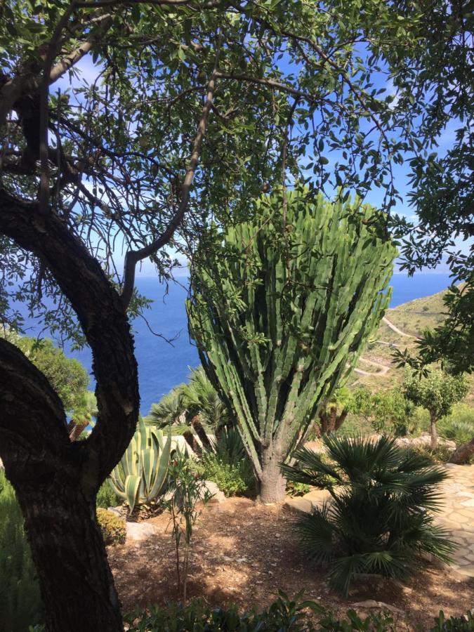 Baglio La Luna - B&B San Vito Lo Capo Eksteriør bilde